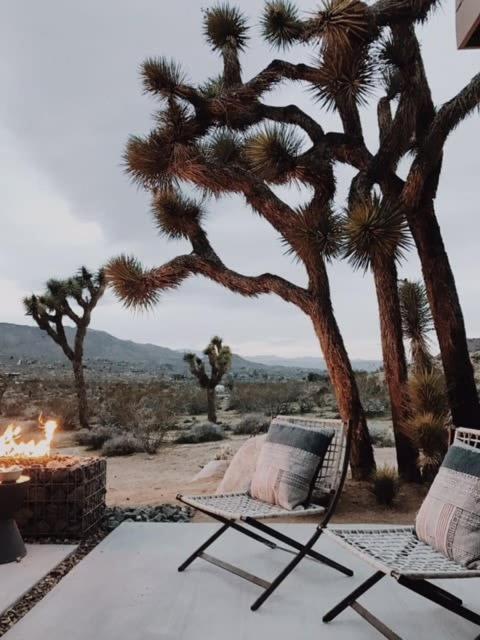 Shelter 1- A Classic- At Joshua Tree Park Entrance Екстериор снимка