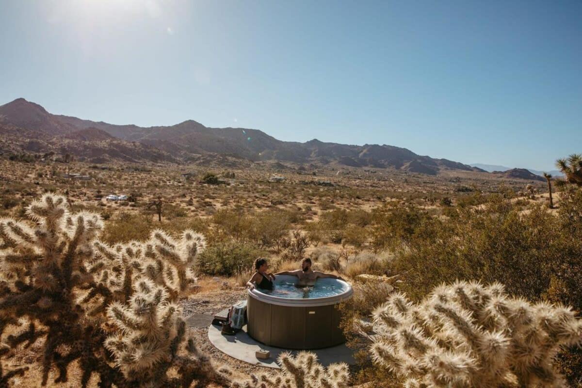 Shelter 1- A Classic- At Joshua Tree Park Entrance Екстериор снимка
